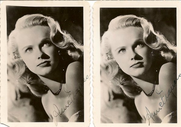 Anne-Francis