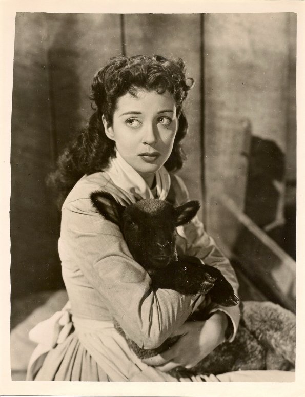 Gail-Russel